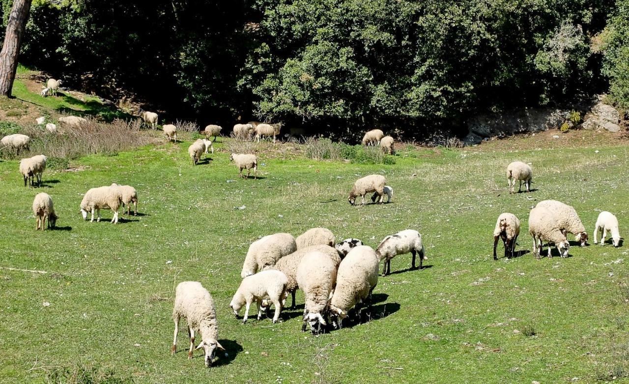 Appartamento Cova Safaja San Quírico Safaja Esterno foto